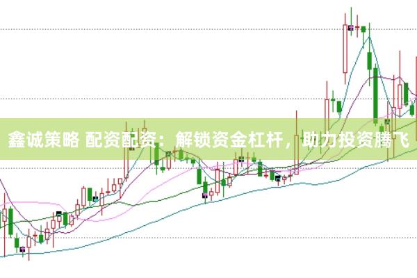 鑫诚策略 配资配资：解锁资金杠杆，助力投资腾飞