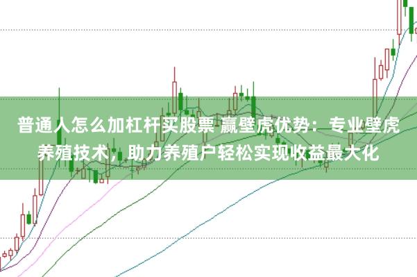 普通人怎么加杠杆买股票 赢壁虎优势:专业壁虎养殖技术,助力养殖户轻松实现收益最大化