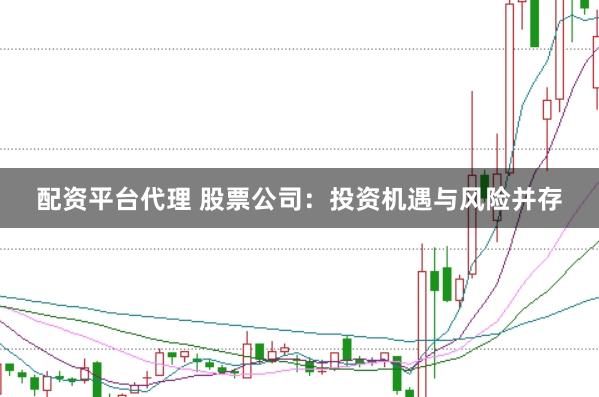 配资平台代理 股票公司:投资机遇与风险并存