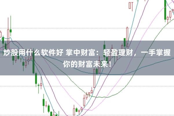 炒股用什么软件好 掌中财富：轻盈理财，一手掌握你的财富未来！