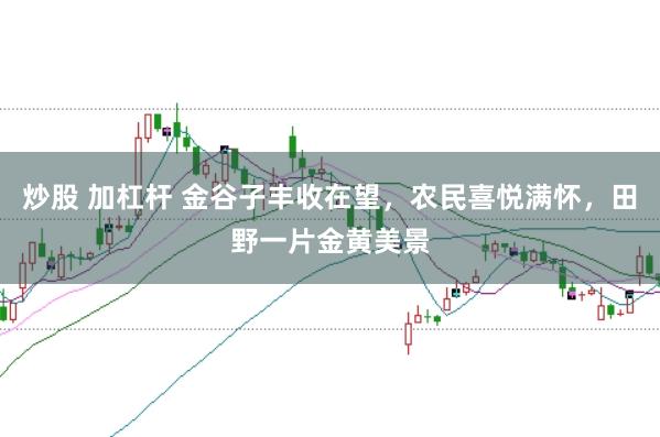 炒股 加杠杆 金谷子丰收在望,农民喜悦满怀,田野一片金黄美景